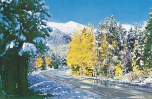 Rocky Mountain National Park CO, Colorado - First Snow on Bear Lake Road