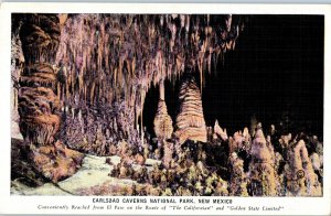 Carlsbad Caverns National Park New Mexico Postcard