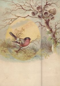 Victorian Trade Card - Hatchet Baking Powder 1880's Bird and Tree
