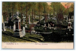 c1905's Fort Hill Cemetery Scene Antique Auburn New York NY PCK Postcard