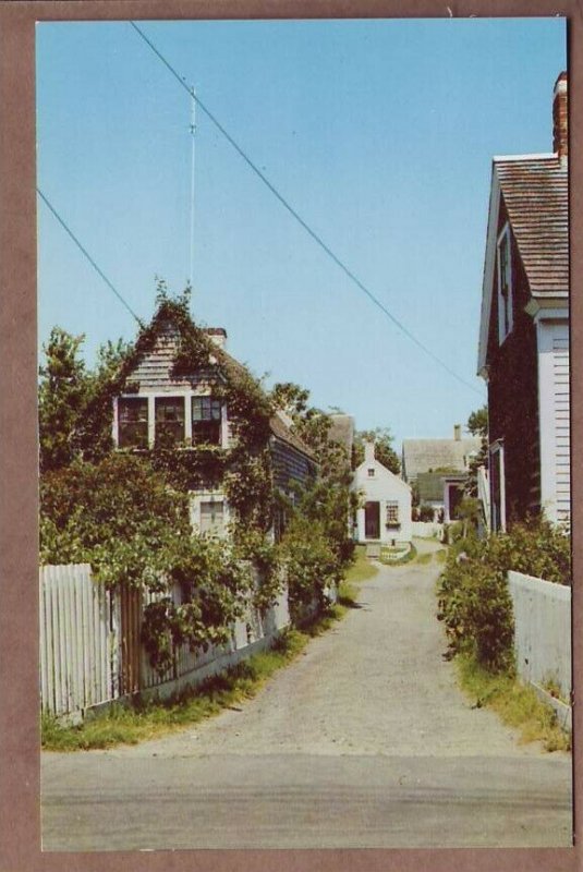 Massachusetts Cape Cod MASS - a village lane scene postcard