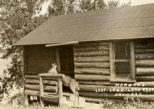 Circa 1910 RPPC Morgan's Lost Land Lake Resort, Hayward, WI Tame Deer Cabin P21 