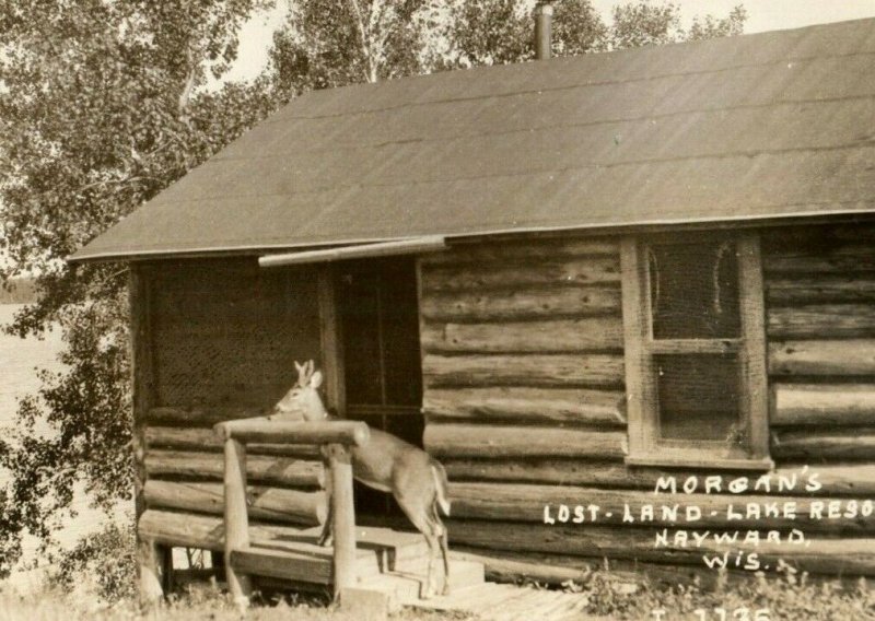 Circa 1910 RPPC Morgan's Lost Land Lake Resort, Hayward, WI Tame Deer Cabin P21 