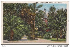 Tropical Grounds at Tampa Bay Hotel, Tampa, Florida, PU-1921