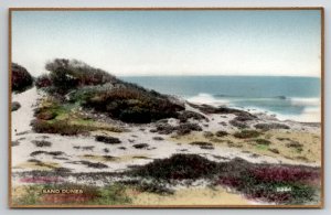 California Sand Dunes CA Fred Martin Hand Colored Gilded Photo Postcard I29