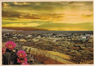 Arizona Tombstone Evening View