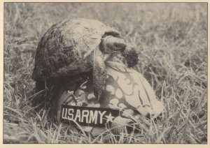 Military USA Tortoise Soldier Real Photo Comic Postcard