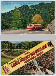 2 Postcards GREAT SMOKY MOUNTAINS National Park ~ TRAILWAYS BUS, Large Letter