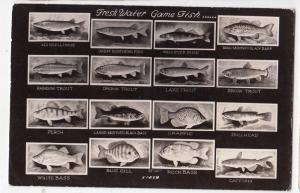 Fresh Water Game Fish