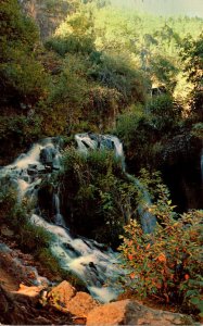 South Dakota Black Hills Spearfish Canyon Roughlock Falls 1957