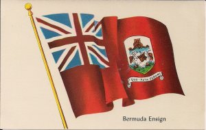 BERMUDA Ensign, Flag, Chrome Postcard 1960's