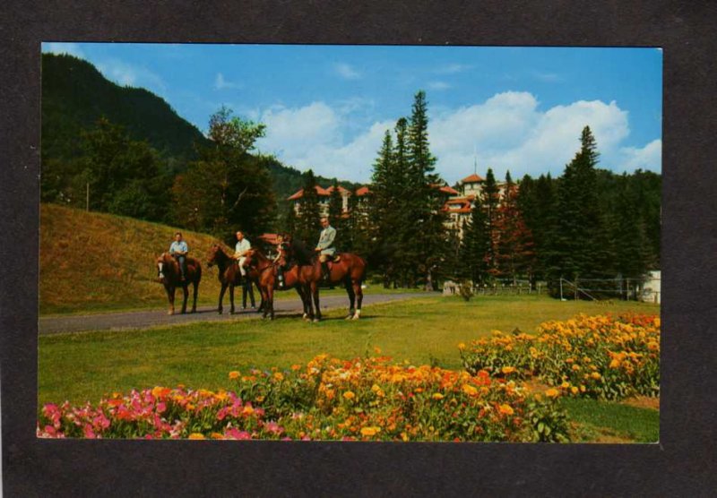 NH Balsams Hotel Dixville Notch New Hampshire Postcard Horses Horseback Riding