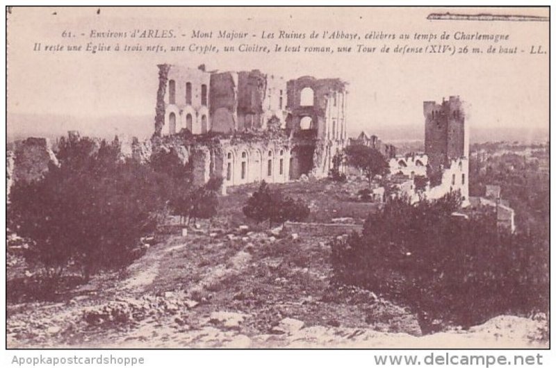 France Arles Les Ruines de l'Abbaye