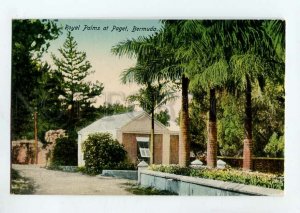 3090297 BERMUDA Royal Palms at Paget Vintage PC