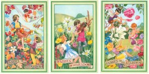 Lot 3 continental size postcards Fairies of the Garden Meadow Hedgerow fantasy