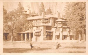 RPPC CAMP CURRY CALIFORNIA REAL PHOTO POSTCARD (c. 1923)