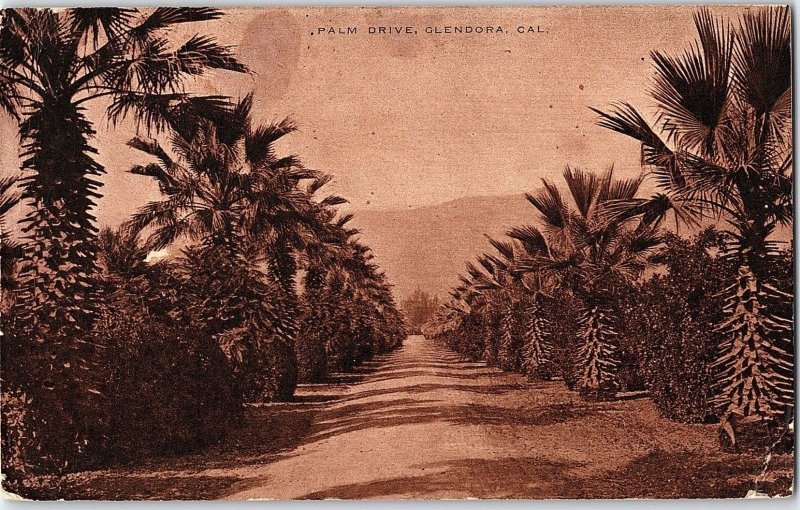 C.1910 Palm Drive, Glendora, California Postcard P122