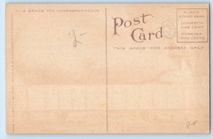 Exaggerated Mammoth Pear Carload From San Francisco CA Signed Artist Postcard