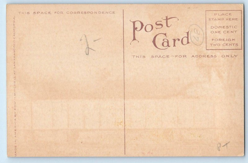 Exaggerated Mammoth Pear Carload From San Francisco CA Signed Artist Postcard