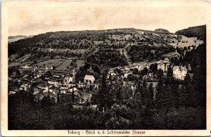 Germany Triberg im Schwarzwald Vintage Postcard 09.80