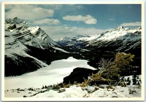 Peyto Lake - Banff National Park - Alberta, Canada M-17084