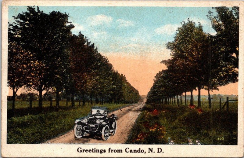 North Dakota Greetings From Cando 1921