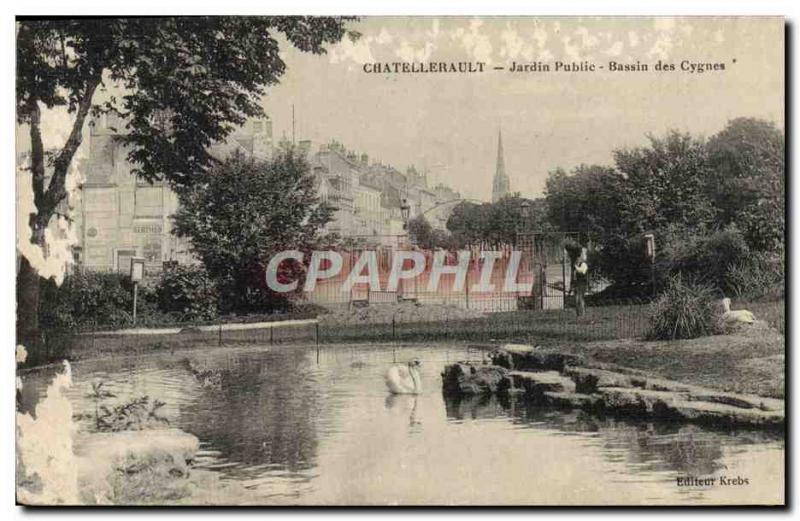 Old Postcard Chatellerault Public Garden Swan Basin Des Cygnes