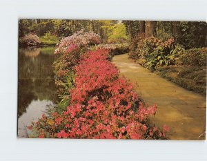 Postcard A flagstone path, Bellingrath Gardens, Theodore, Alabama