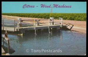 Citrus - Wind Machines, Yuma