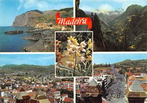 Madeira - Funchal