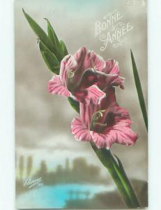 tinted rppc c1910 BEAUTIFUL FLOWERS AC9092