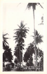 WW2Era, Real Photo RPPC Coconut Trees, New Guinea, Pacific,  Old Postcard