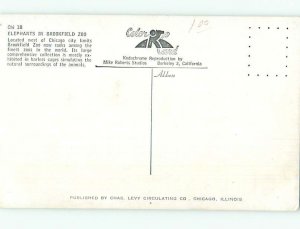 Chrome ZOO SCENE Brookfield Illinois IL AG1584