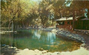 California San Gabriel Mt Baldy Trout Ponds Columbia #H2539 Postcard 22-2684