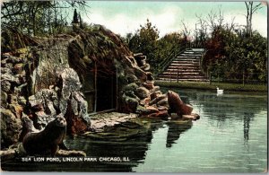 Sea Lion Pond, Lincoln Park Chicago IL Vintage Postcard A41