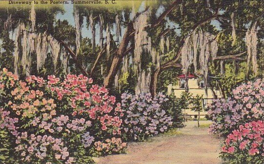 Driveway To The Postern Summerville South Carolina 1954