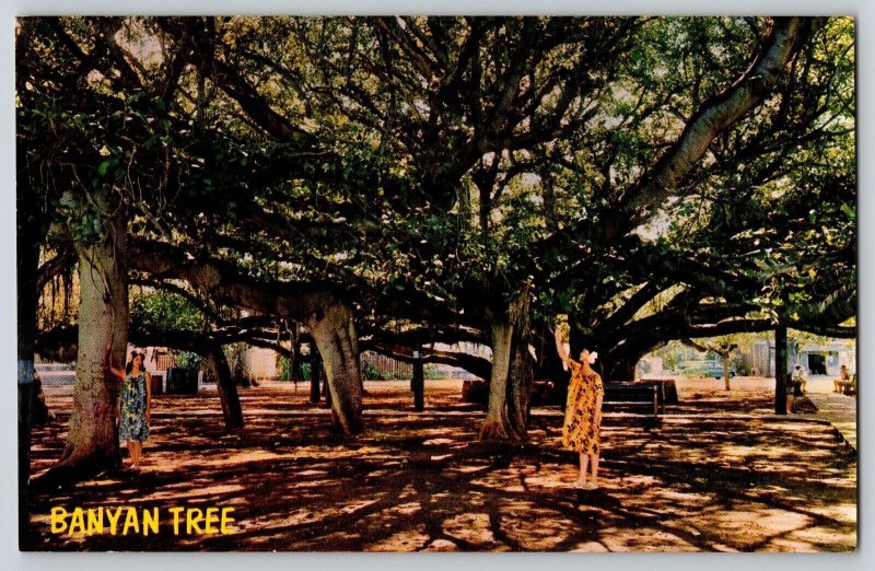 Postcard Hawaii Banyan Tree - Lady in Lei