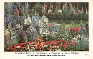 Plainwell Michigan Richards Gardens, Order Confirmation Card, Chrome PC U9742