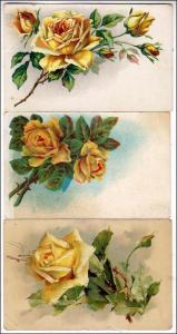 3 - Misc Greeting Cards with Flowers