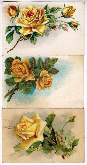 3 - Misc Greeting Cards with Flowers