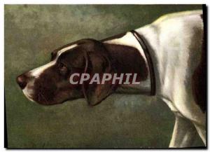 Old Postcard Hunting Dog
