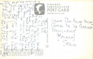 US 44 Uk England animals Wild cat postcard