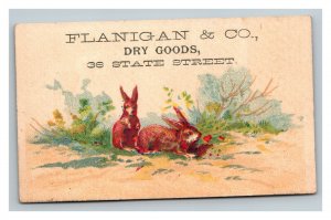 Vintage 1880's Victorian Trade Card Flanigan & Co. Dry Goods Rochester NY