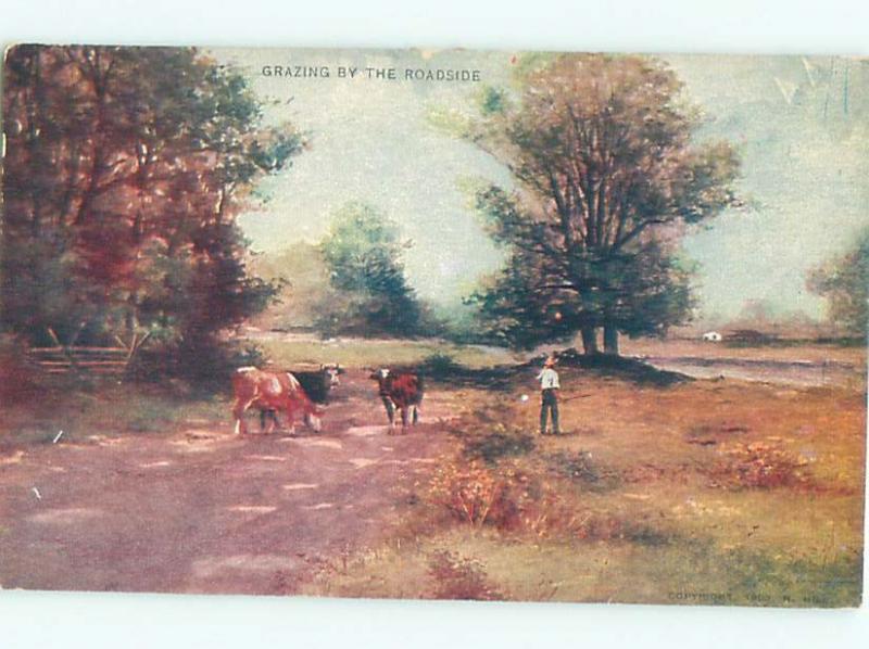 Divided-Back ANIMAL SCENE Great Postcard AA9524