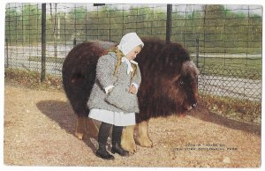 Musk OX & Adorable Little Girl New York Zoological Park New York City