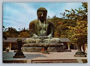 Japan the great buddha at kamakura kotokuin temple daibatsu