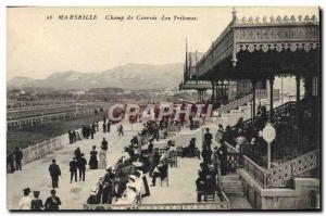 Old Postcard Horse Riding Equestrian Marseille Racetrack grandstands