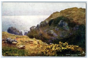1905 Above Kynance Cove Cornwall England Oilette Tuck Art Posted Postcard 