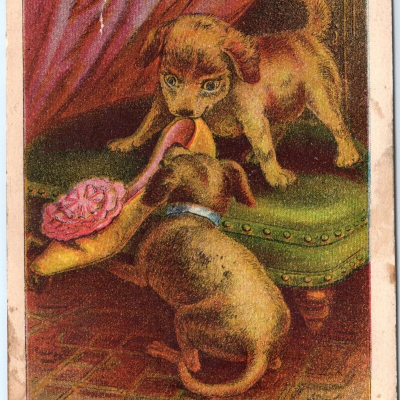c1880s Chicago Cute Puppy Dogs Reynolds Brothers Shoes J.N Carter Trade Card C43