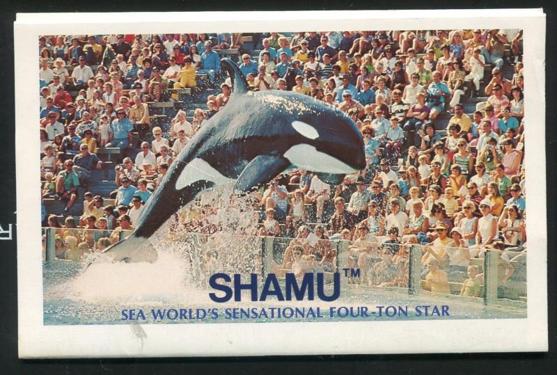 Shamu at Sea World San Diego California ca Orlando Florida postcard folder